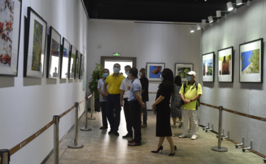 光影定格！春暖花開 大美沙田攝影作品展開幕